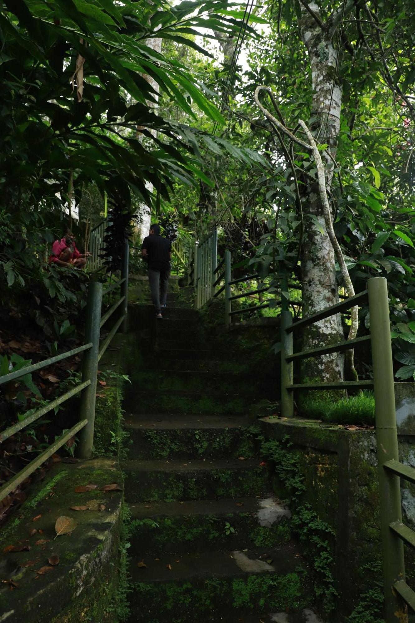 Nature Villa Anachal Eksteriør bilde